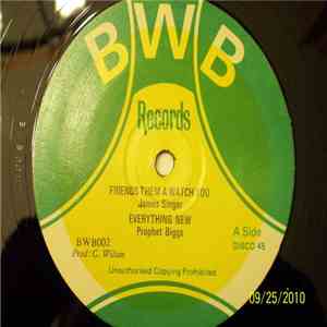 James Singer / Prophet Biggs - Friends Them A Watch You / Everything New album