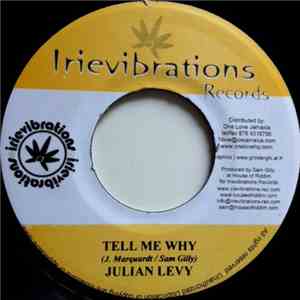 Julian Levy / Lyrics Factory - Tell Me Why / Low The War album