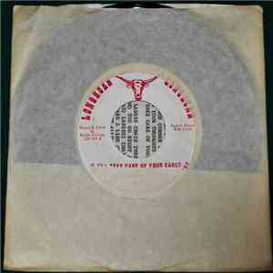 Longhorn Playboys Band, Ralph Silvius - I'll Take Care Of Your Cares album