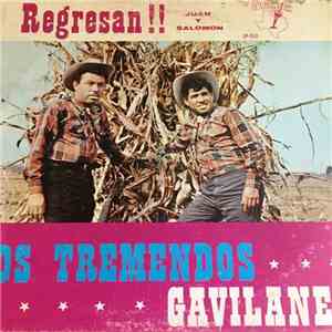 Los Tremendos Gavilanes - Regresan !! Juan Y Salomon album