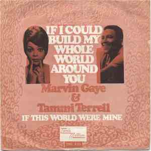 Marvin Gaye & Tammi Terrell - If I Could Build My Whole World Around You / If This World Were Mine album