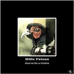 Mâle Faisan - Auprès De La Victime album