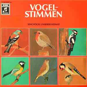 No Artist - Vogelstimmen - Singvögel Unserer Heimat album