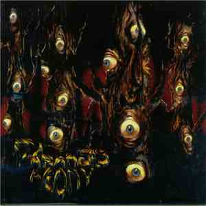 Paranoid Agony - A View In Agony album