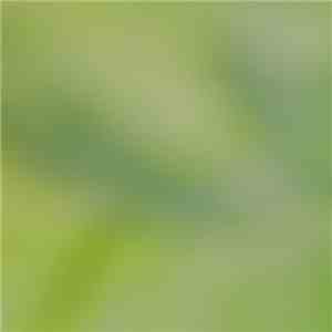 Paul Barton  - In Service Of Other Beings And In Service Of The Earth album