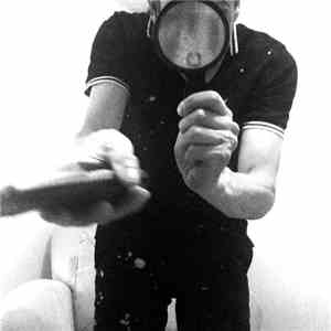Paul Westerberg - Dry Wood Garage album