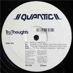 Quantic - Apricot Morning album