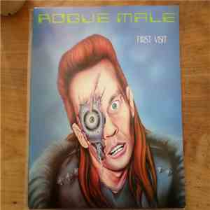 Rogue Male - First Visit album