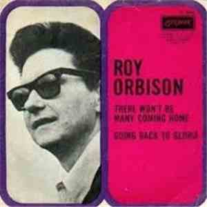 Roy Orbison - There Won't Be Many Coming Home album