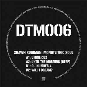 Shawn Rudiman - DTM006 album