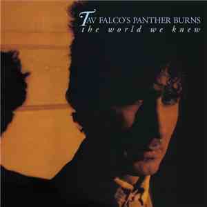 Tav Falco's Panther Burns - The World We Knew album