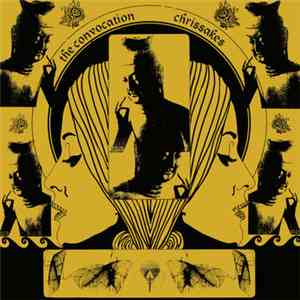 The Convocation / Chrissakes - The Convocation / Chrissakes album
