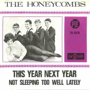 The Honeycombs - This Year Next Year album