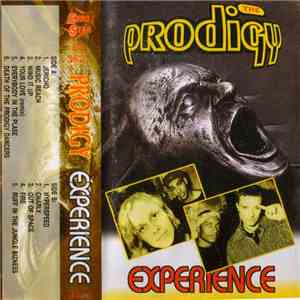 The Prodigy - Experience album