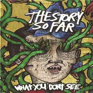 The Story So Far  - What You Don't See album