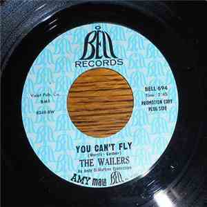 The Wailers  - You Can't Fly / Thinking Out Loud album
