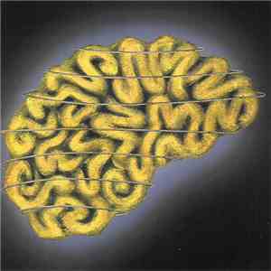 Various - Brain In The Wire - Disc B album