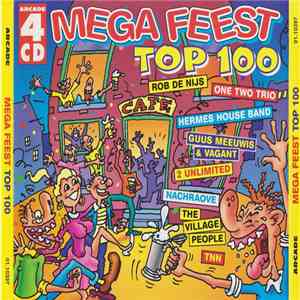 Various - Mega Feest Top 100 album