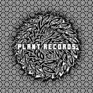 Various - Plant Records V.A. album