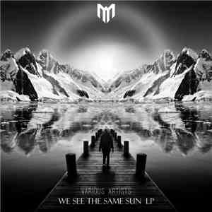 Various - We See The Same Sun LP album