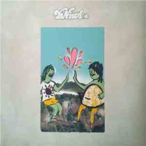 Y Niwl - Y Niwl album