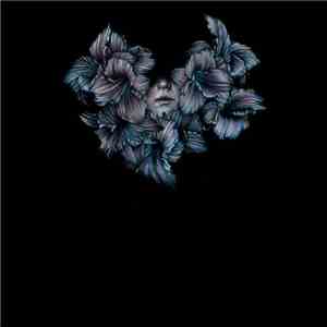 A Lot Like Birds - Divisi album