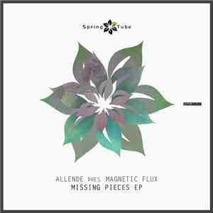 Allende Pres. Magnetic Flux - Missing Pieces EP album