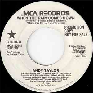 Andy Taylor - When The Rain Comes Down album