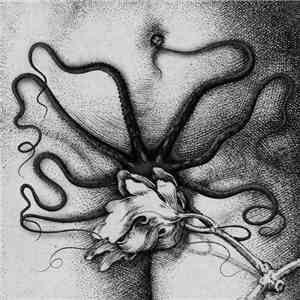 Biche, Organon  - Biche / Organon album