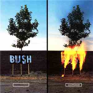 Bush - Swallowed album