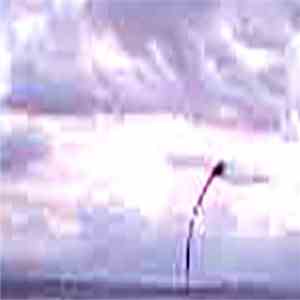 David Grubbs - Don't Say It album