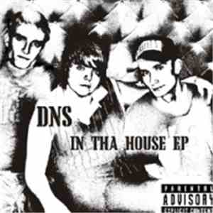D.N.S. (Dangerous N Simple) - In Tha House EP album