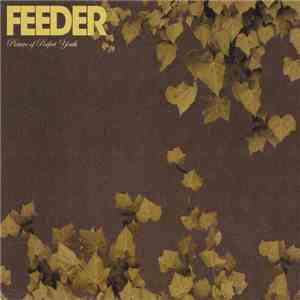 Feeder - Picture Of Perfect Youth album