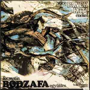 Formația Bodzafa Együttes , Voce / Énekel Panek Kati - Magyarózdi Népzene album