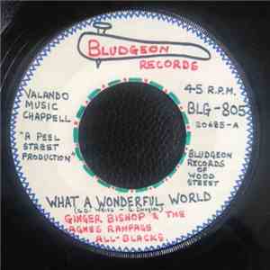 Ginger Bishop & The Agnes Rampage All Blacks, Powdermonkey's Organ & The Funky Warehouse - What A Wonderful World/Dolly Tub Jerk (Inst) album