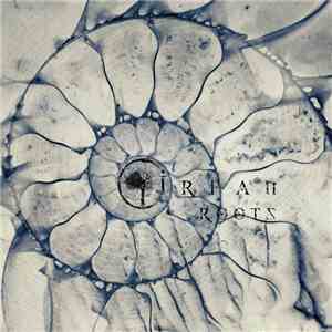 Irfan - Roots album