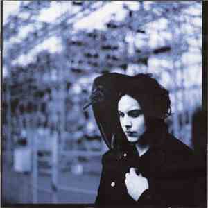 Jack White  - Blunderbuss album
