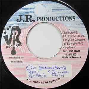 Junior Reid - One Blood (Remix) album