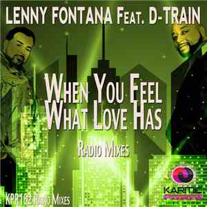 Lenny Fontana Feat. D-Train - When You Feel What Love Has - Radio Mixes album