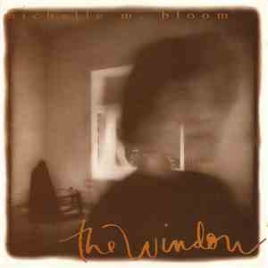 Michelle M. Bloom - The Window album