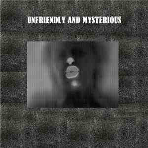 Old Ernie - Unfriendly And Mysterious album