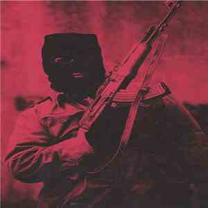 Public Assault - Public Assault album
