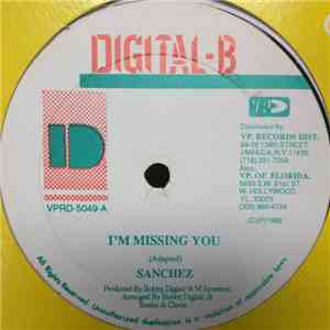 Sanchez - I'm Missing You / Forgotten Feeling album