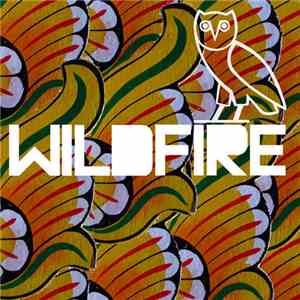 SBTRKT - Wildfire album