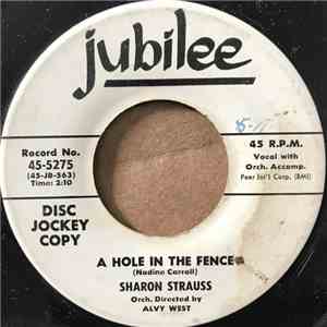 Sharon Strauss - A Hole In The Fence album
