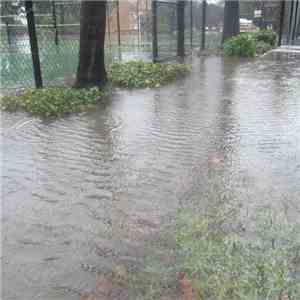 TCLB - Morning Storm Hydrophone album