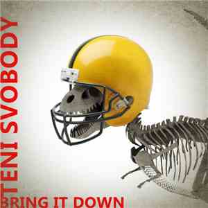 Teni Svobody - Bring It Down album