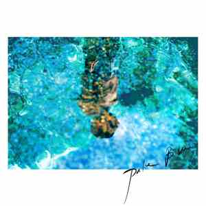 The Fin. - Pale Blue album