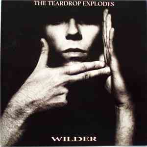 The Teardrop Explodes - Wilder album