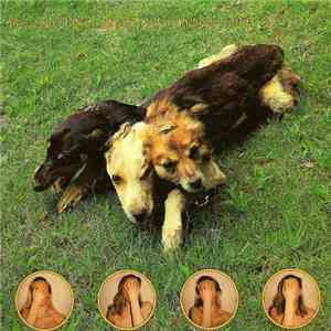 The World Of Skin - Ten Songs For Another World album